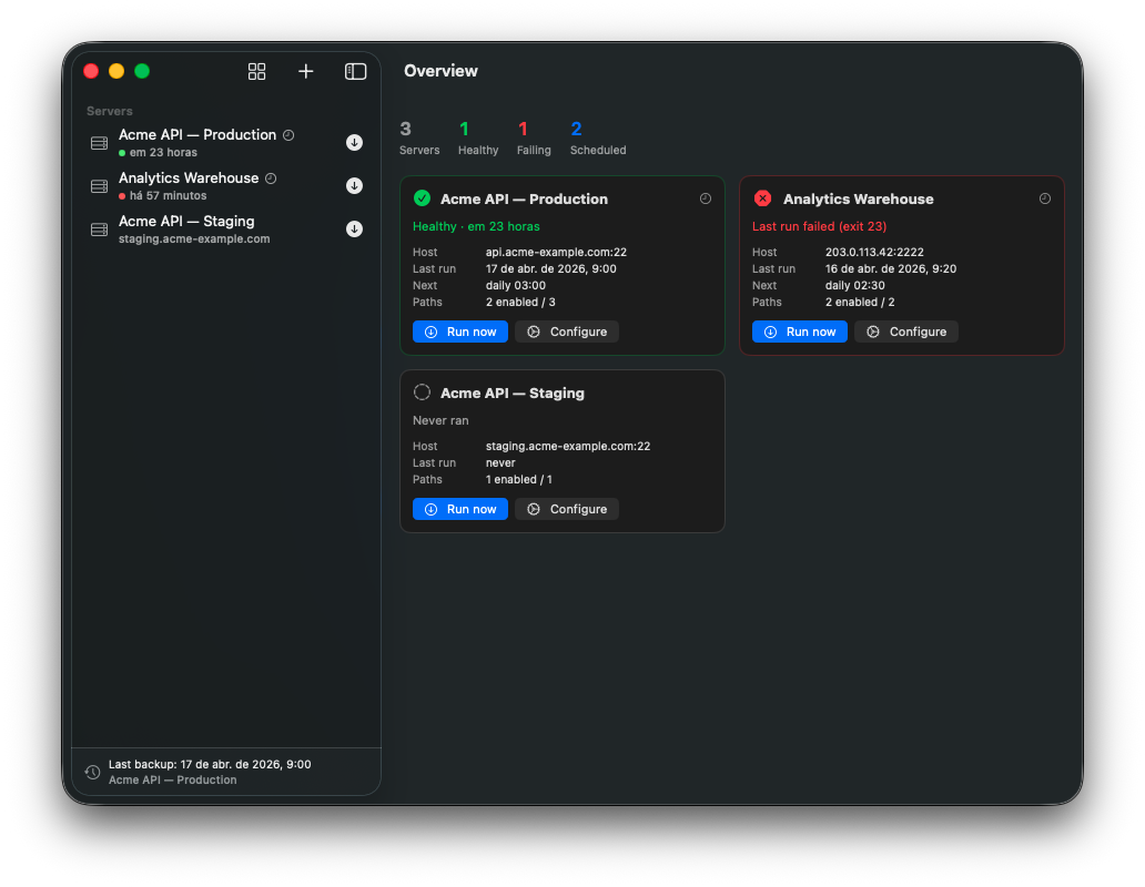 Dashboard com lista de servidores, status da última execução e agendamentos